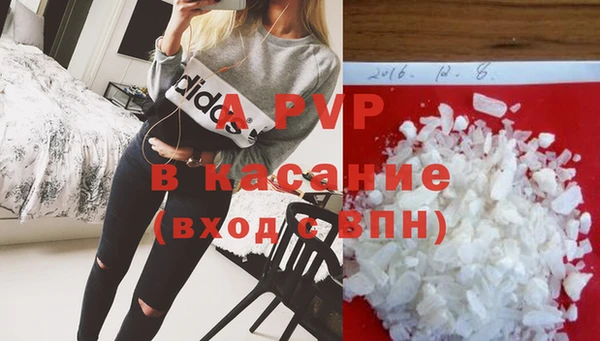 гидра Аркадак